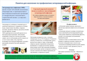 Энтеровирусная инфекция. Меры профилактики. Энтеровирусная инфекция. Меры профилактики.