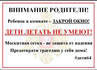 ДЕТИ ЛЕТАТЬ НЕ УМЕЮТ! ДЕТИ ЛЕТАТЬ НЕ УМЕЮТ!.
