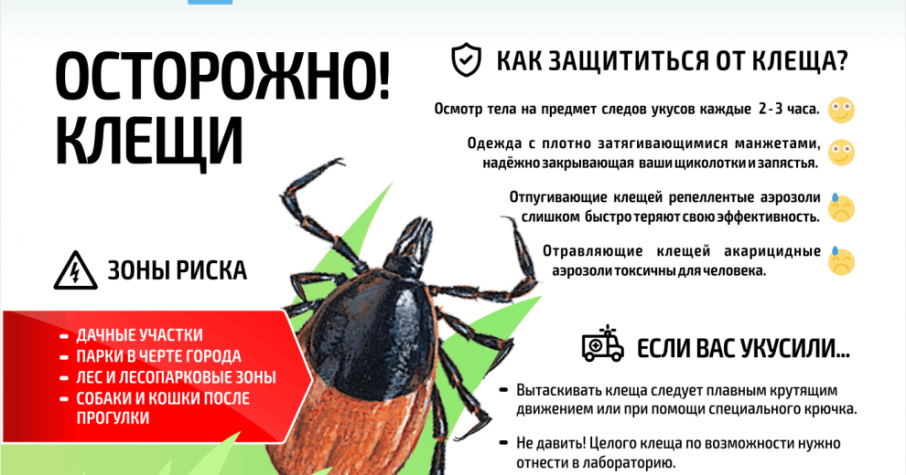 ВНИМАНИЕ КЛЕЩИ!!!! ВНИМАНИЕ КЛЕЩИ!!!!.